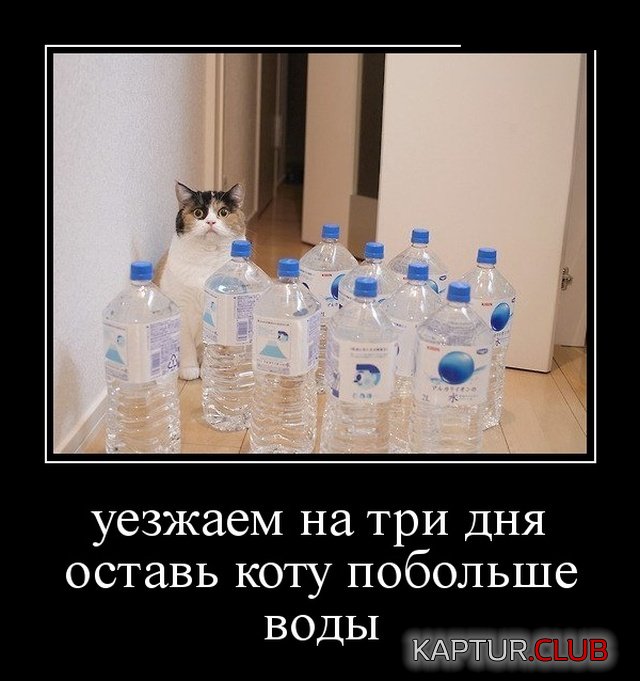 demotivatory_05.jpg | Рено Каптур Клуб Россия | Форум KAPTUR.SU
