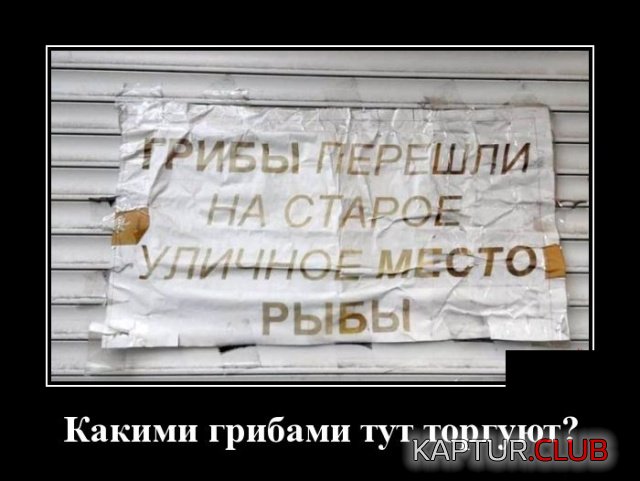 demotivatory_05.jpg | Рено Каптур Клуб Россия | Форум KAPTUR.SU