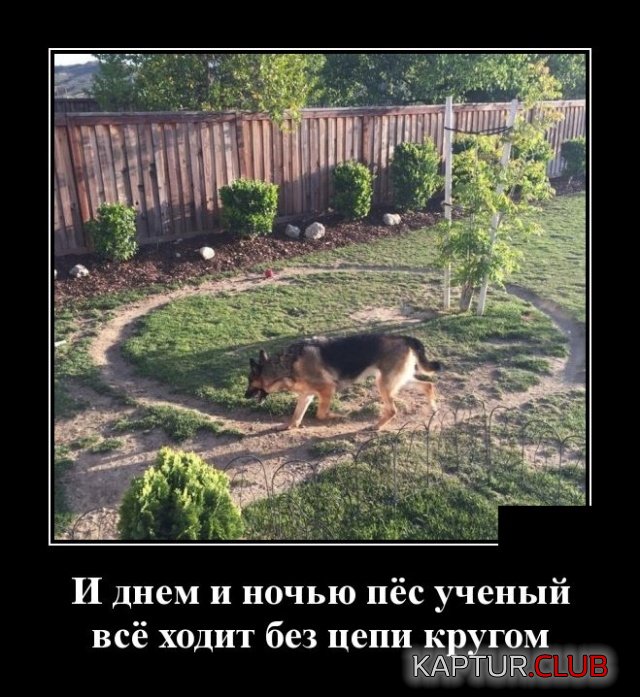 demotivatory_05.jpg | Рено Каптур Клуб Россия | Форум KAPTUR.SU