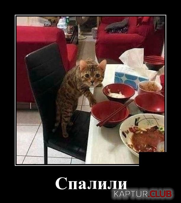 demotivatory_05.jpg | Рено Каптур Клуб Россия | Форум KAPTUR.SU