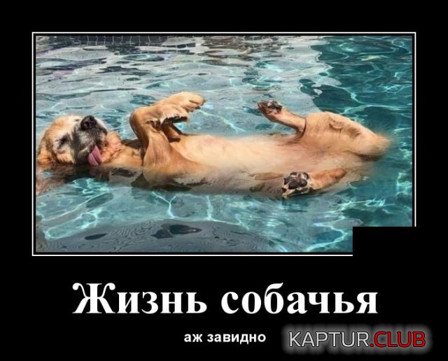 demotivatory_05.jpg | Рено Каптур Клуб Россия | Форум KAPTUR.SU