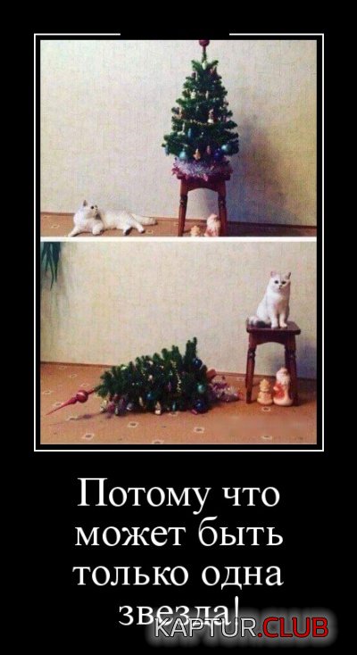 demotivatory_05.jpg | Рено Каптур Клуб Россия | Форум KAPTUR.SU