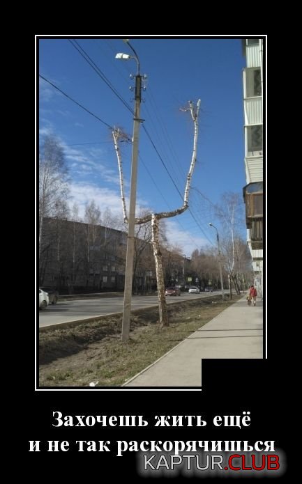 demotivatory_05.jpg | Рено Каптур Клуб Россия | Форум KAPTUR.SU