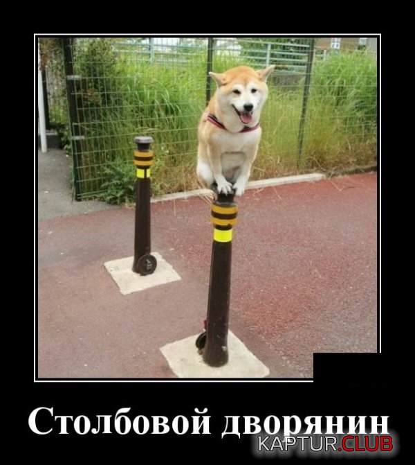 demotivatory_05.jpg | Рено Каптур Клуб Россия | Форум KAPTUR.SU