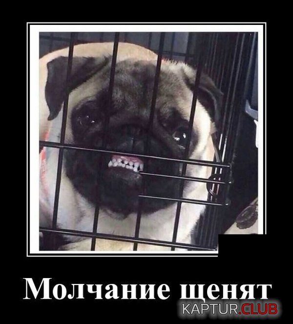 demotivatory_05.jpg | Рено Каптур Клуб Россия | Форум KAPTUR.SU