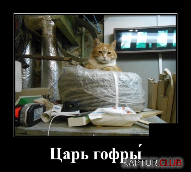 demotivatory_05.jpg | Рено Каптур Клуб Россия | Форум KAPTUR.SU