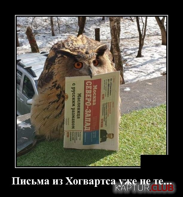 demotivatory_05.jpg | Рено Каптур Клуб Россия | Форум KAPTUR.SU