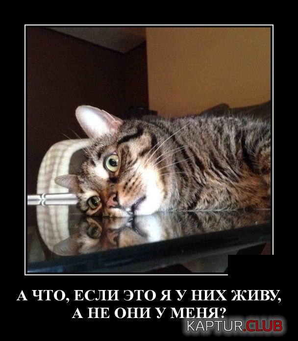 demotivatory_05.jpg | Рено Каптур Клуб Россия | Форум KAPTUR.SU