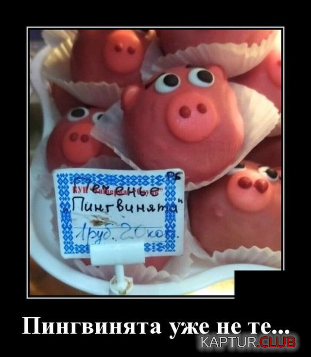 demotivatory_05.jpg | Рено Каптур Клуб Россия | Форум KAPTUR.SU