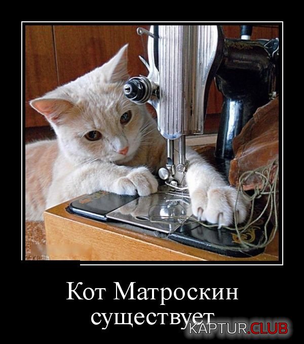 demotivatory_06.jpg | Рено Каптур Клуб Россия | Форум KAPTUR.SU