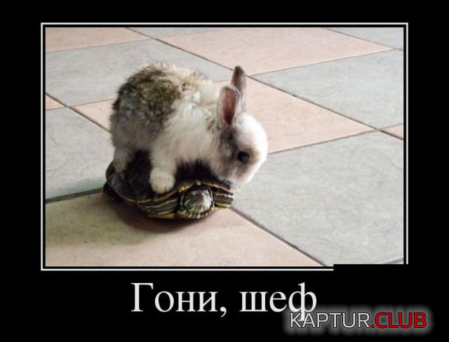 demotivatory_06.jpg | Рено Каптур Клуб Россия | Форум KAPTUR.SU