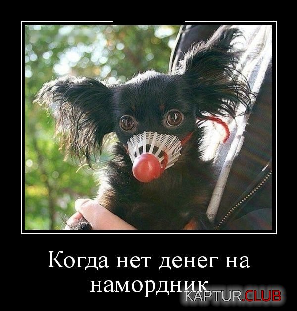 demotivatory_06.jpg | Рено Каптур Клуб Россия | Форум KAPTUR.SU