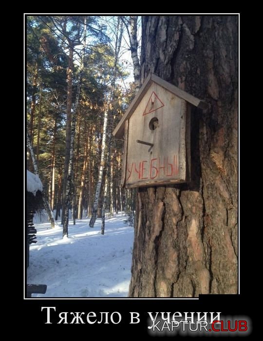 demotivatory_06.jpg | Рено Каптур Клуб Россия | Форум KAPTUR.SU