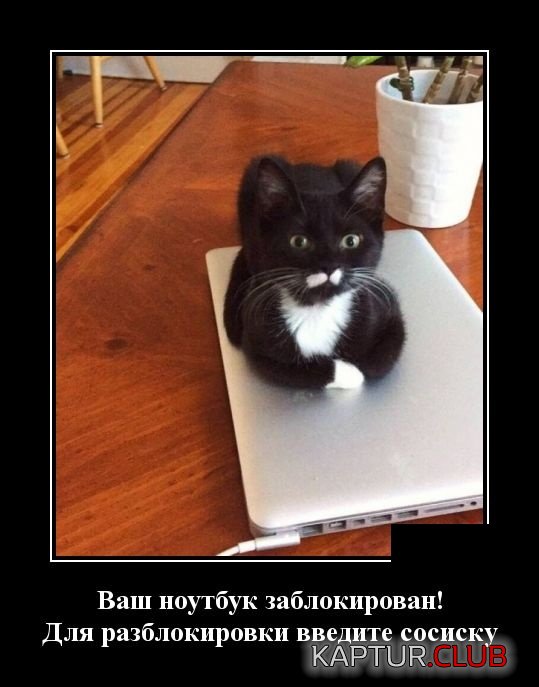 demotivatory_06.jpg | Рено Каптур Клуб Россия | Форум KAPTUR.SU