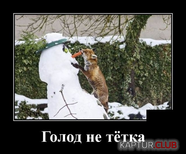 demotivatory_06.jpg | Рено Каптур Клуб Россия | Форум KAPTUR.SU
