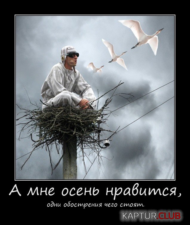 demotivatory_06.jpg | Рено Каптур Клуб Россия | Форум KAPTUR.SU