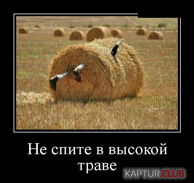 demotivatory_06.jpg | Рено Каптур Клуб Россия | Форум KAPTUR.SU