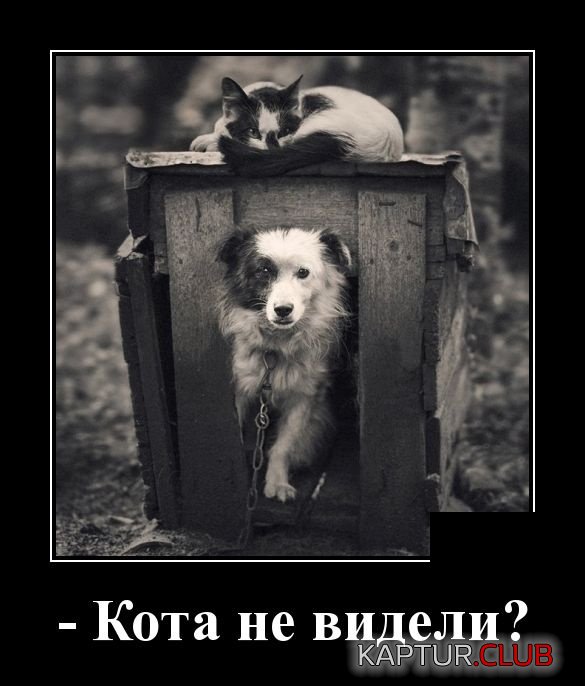 demotivatory_06.jpg | Рено Каптур Клуб Россия | Форум KAPTUR.SU