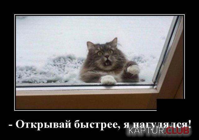 demotivatory_06.jpg | Рено Каптур Клуб Россия | Форум KAPTUR.SU