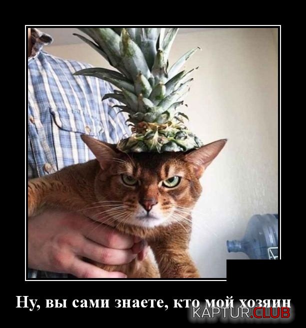 demotivatory_06.jpg | Рено Каптур Клуб Россия | Форум KAPTUR.SU