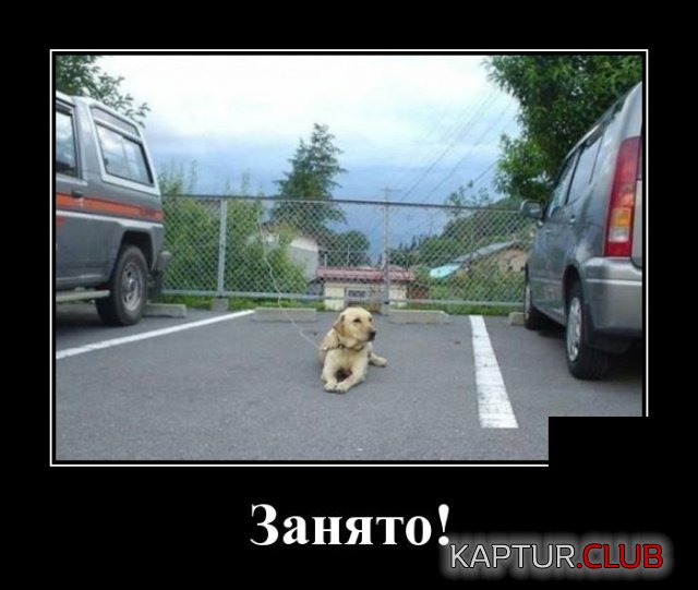 demotivatory_06.jpg | Рено Каптур Клуб Россия | Форум KAPTUR.SU
