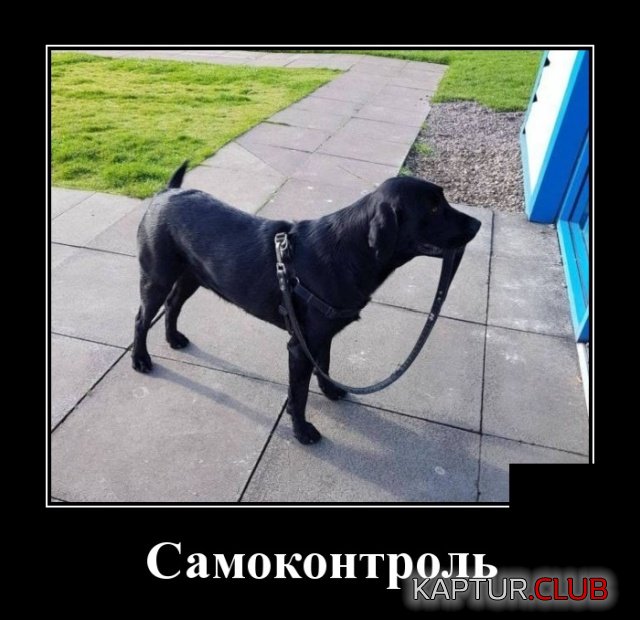 demotivatory_06.jpg | Рено Каптур Клуб Россия | Форум KAPTUR.SU