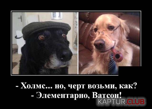 demotivatory_06.jpg | Рено Каптур Клуб Россия | Форум KAPTUR.SU