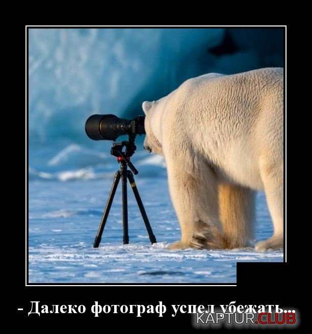 demotivatory_06.jpg | Рено Каптур Клуб Россия | Форум KAPTUR.SU