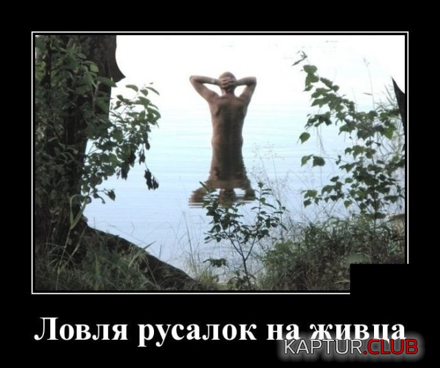 demotivatory_06.jpg | Рено Каптур Клуб Россия | Форум KAPTUR.SU