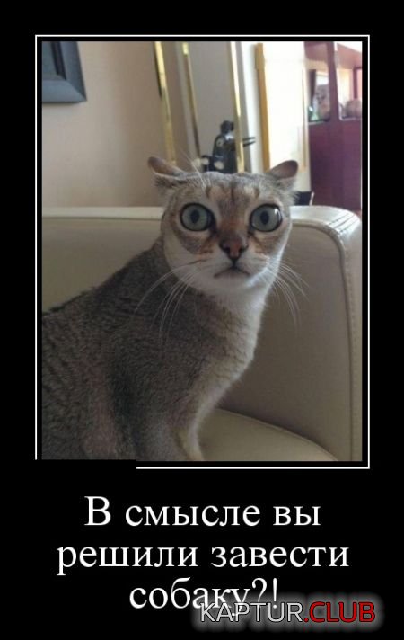 demotivatory_07.jpg | Рено Каптур Клуб Россия | Форум KAPTUR.SU