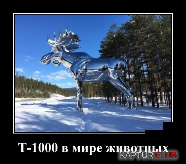 demotivatory_07.jpg | Рено Каптур Клуб Россия | Форум KAPTUR.SU