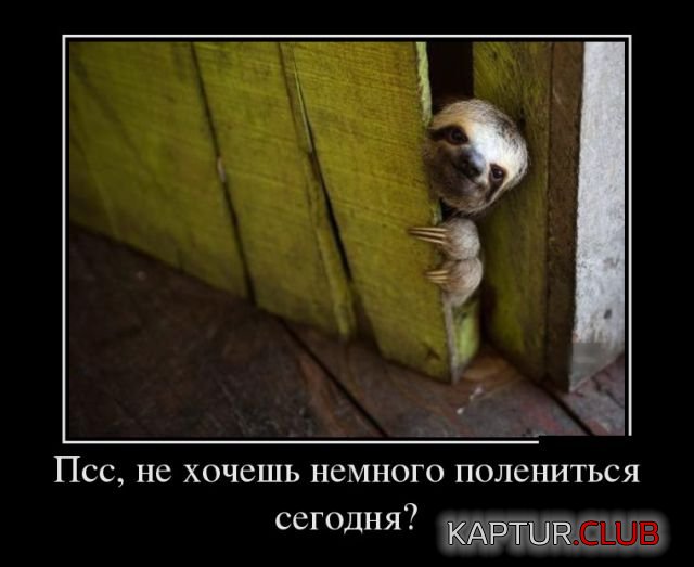 demotivatory_07.jpg | Рено Каптур Клуб Россия | Форум KAPTUR.SU