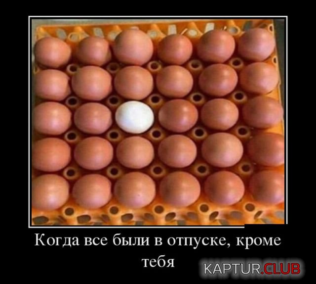demotivatory_07.jpg | Рено Каптур Клуб Россия | Форум KAPTUR.SU