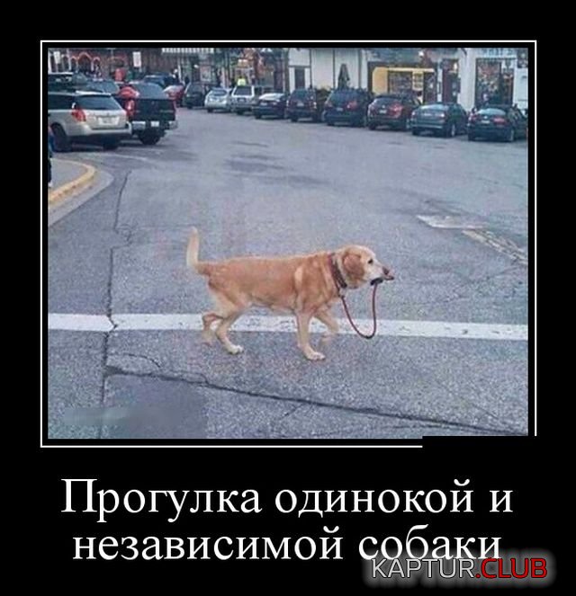 demotivatory_07.jpg | Рено Каптур Клуб Россия | Форум KAPTUR.SU
