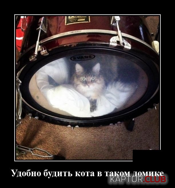 demotivatory_07.jpg | Рено Каптур Клуб Россия | Форум KAPTUR.SU