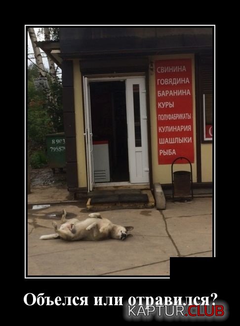 demotivatory_07.jpg | Рено Каптур Клуб Россия | Форум KAPTUR.SU