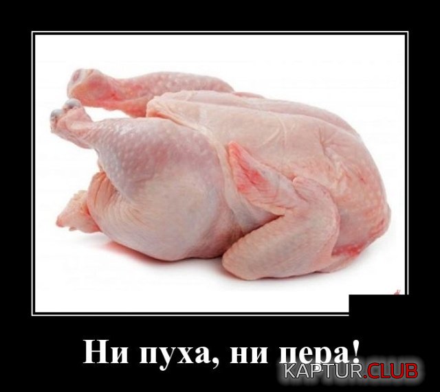 demotivatory_07.jpg | Рено Каптур Клуб Россия | Форум KAPTUR.SU