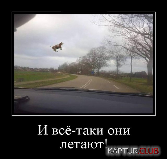 demotivatory_07.jpg | Рено Каптур Клуб Россия | Форум KAPTUR.SU