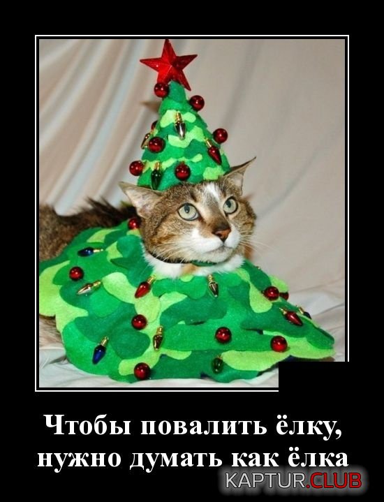 demotivatory_07.jpg | Рено Каптур Клуб Россия | Форум KAPTUR.SU