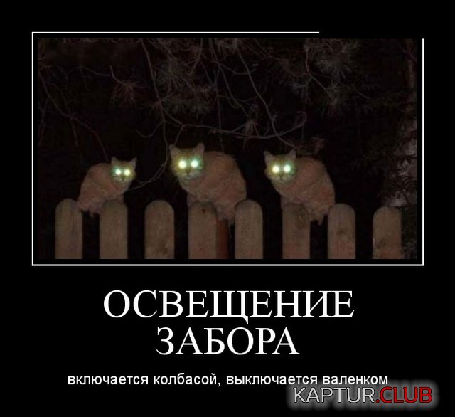 demotivatory_07.jpg | Рено Каптур Клуб Россия | Форум KAPTUR.SU