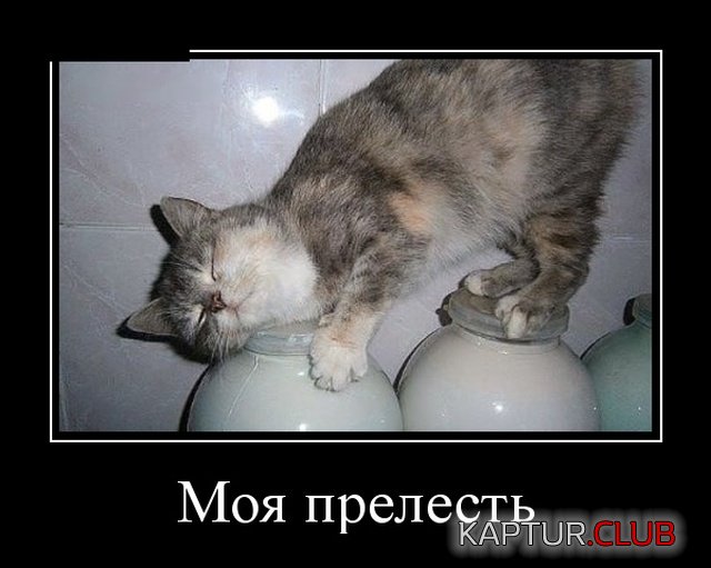 demotivatory_07.jpg | Рено Каптур Клуб Россия | Форум KAPTUR.SU