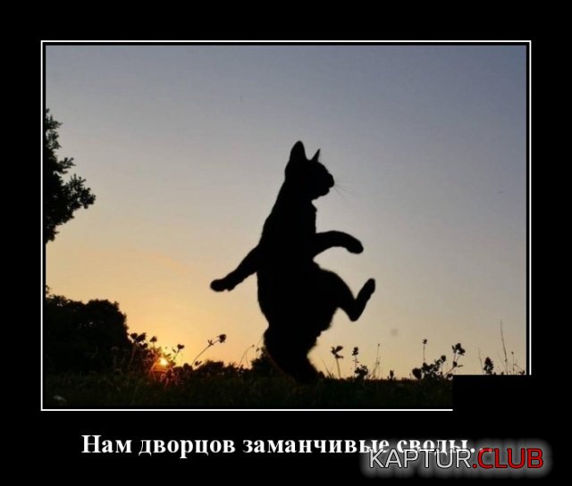 demotivatory_07.jpg | Рено Каптур Клуб Россия | Форум KAPTUR.SU