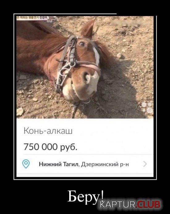 demotivatory_07.jpg | Рено Каптур Клуб Россия | Форум KAPTUR.SU
