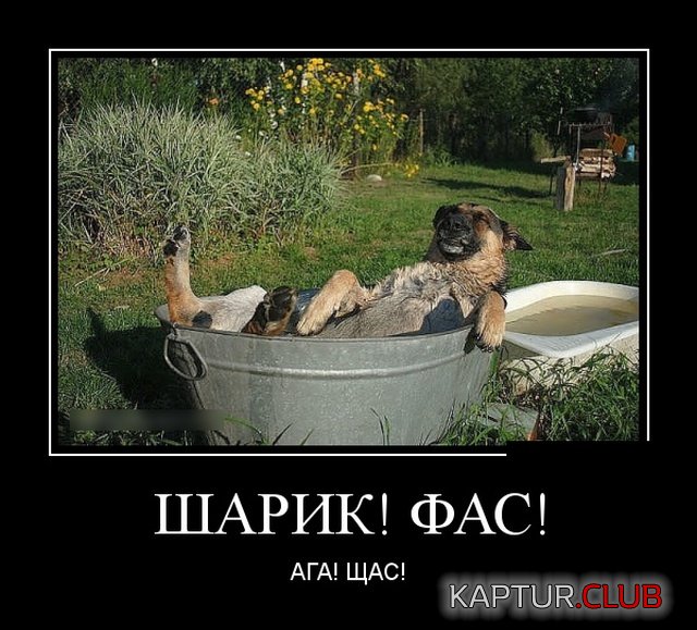 demotivatory_07.jpg | Рено Каптур Клуб Россия | Форум KAPTUR.SU