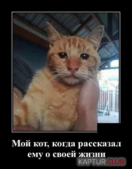 demotivatory_07.jpg | Рено Каптур Клуб Россия | Форум KAPTUR.SU