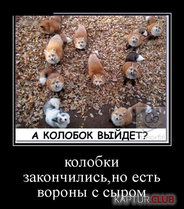 demotivatory_07.jpg | Рено Каптур Клуб Россия | Форум KAPTUR.SU