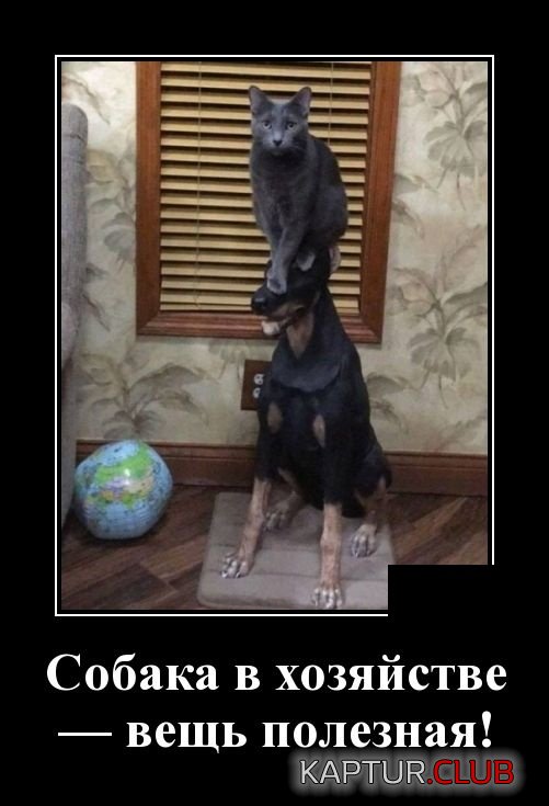 demotivatory_07.jpg | Рено Каптур Клуб Россия | Форум KAPTUR.SU