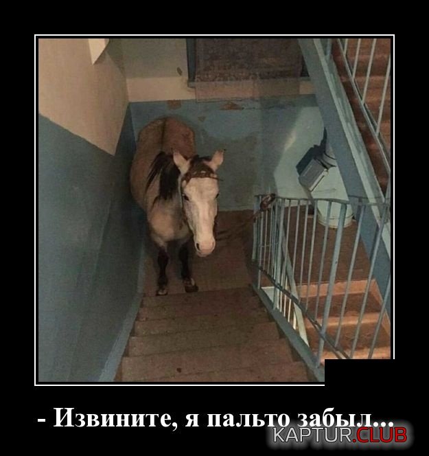 demotivatory_07.jpg | Рено Каптур Клуб Россия | Форум KAPTUR.SU