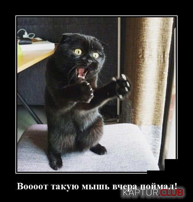 demotivatory_08.jpg | Рено Каптур Клуб Россия | Форум KAPTUR.SU