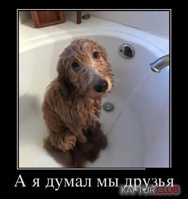 demotivatory_08.jpg | Рено Каптур Клуб Россия | Форум KAPTUR.SU